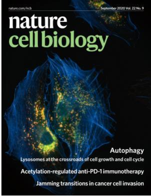 《自然-細胞生物學》國際期刊。