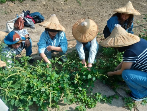 室設系林佳慧老師帶領室設系學生動手做,實際參與拔草、種樹,整理環境。