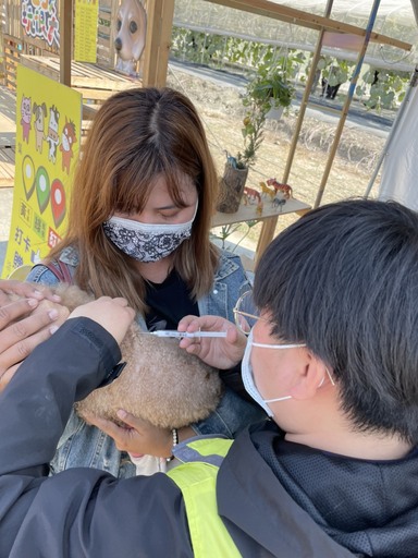 維護毛孩權益!屏東熱博毛孩玩很大免費寵物登記