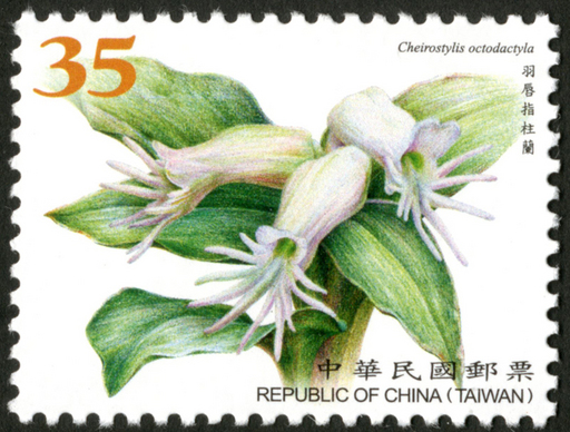添印臺灣野生蘭花郵票/中華郵政提供