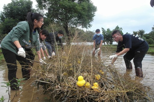 海大師生於里山雞母嶺水梯田大地藝術創作-水中龍