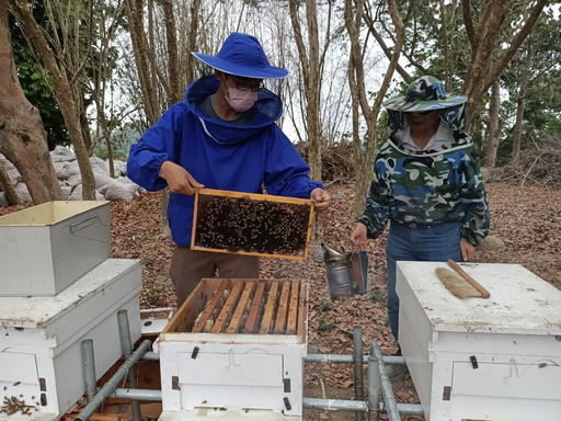 南華大學響應「世界地球日」推動環境永續，校園內設置蜜蜂養殖區並收成蜂蜜。
