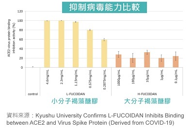 實驗顯示，小分子褐藻醣膠具有優異的抑制病毒能力