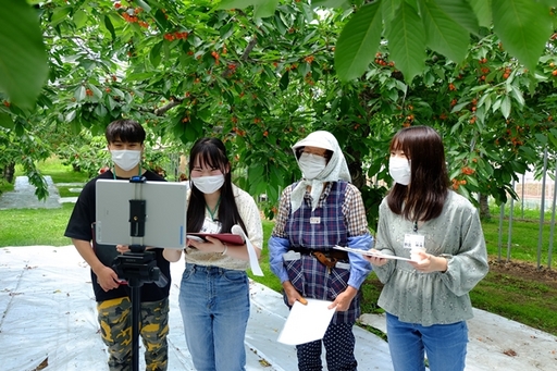 日本姊妹校青森中央學院大學學生和農場介紹人-川村富子(右二)之線上交流情形。