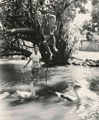楊基炘，〈戲水孩童〉，1954，明膠銀鹽相片，60.9_×_50.8_cm，國家攝影文化中心典藏