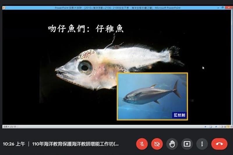 李承錄博士後研究員帶領教師學員認識海洋生物