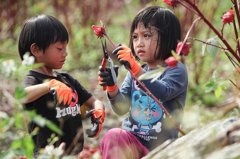 酷WAWA-兒童少年節目獎