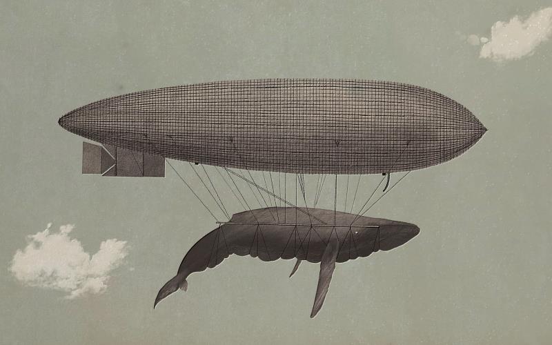 展出作品-Noah_-_Whale