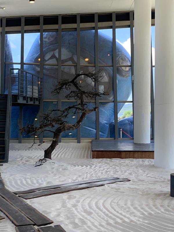 巨型春江獸萌照席捲熱潮 民眾「敲碗」期待再相逢