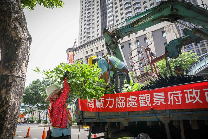 新北景觀處颱風前巡視49條主要幹道樹木修剪情形