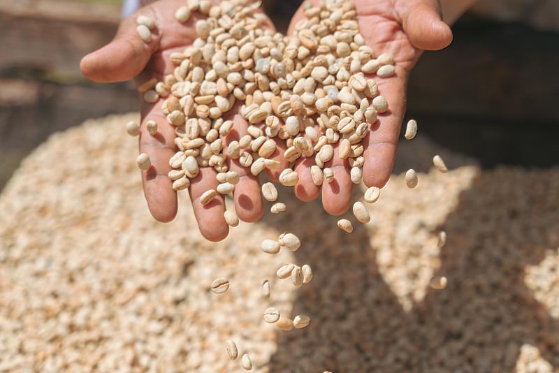 TYPICA是使全世界的咖啡生產者及烘豆師得以至少單包麻袋為單位，直接交易高品質咖啡生豆的線上平台