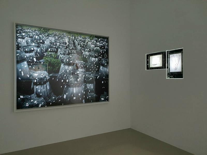 展出作品：(左)劉文瑄，之間：消波塊．鳳林，2019，攝影；(右)張育嘉，虫1~3，2017，裝置與新媒體