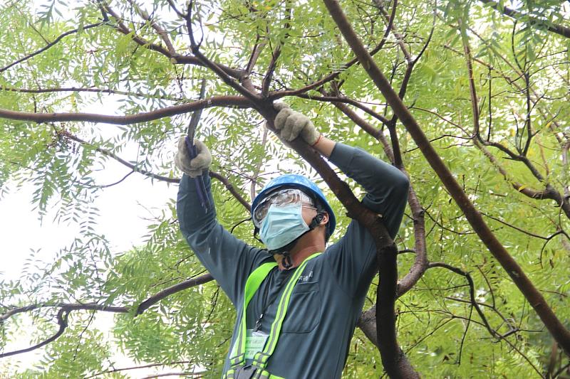 屏東樹木修剪技術培訓