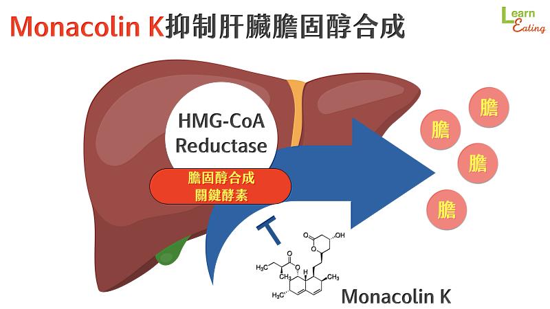Monacolin K透過抑制膽固醇合成而具降血脂功效