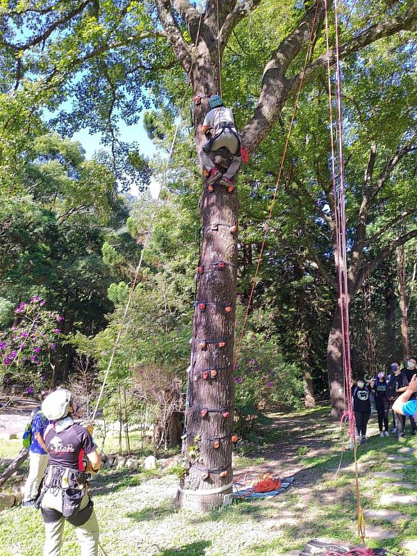 振翅攀樹趣親子體驗 全程免費！