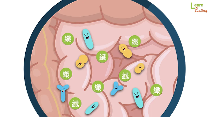 補充膳食纖維可以影響食慾和幫助減少腰圍