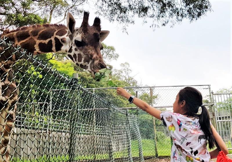 2022年夜宿六福村動物生態體驗營，熱烈報名中！