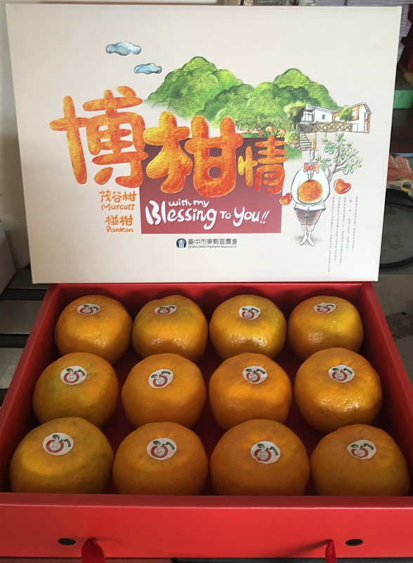東勢區農會椪柑禮盒