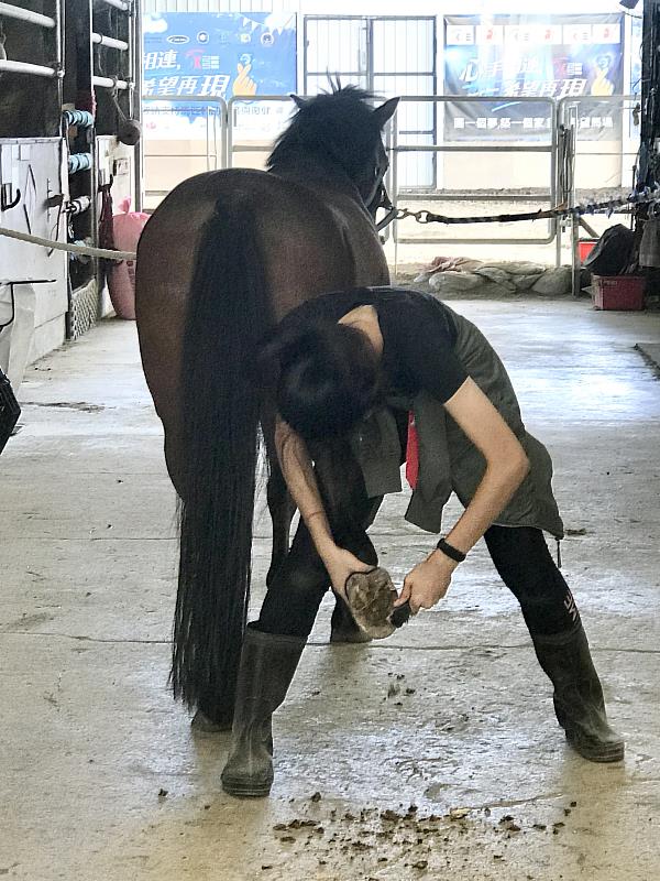 興大獸醫系特殊選才新生鍾宇柔高中時期至台灣馬術治療中心實習