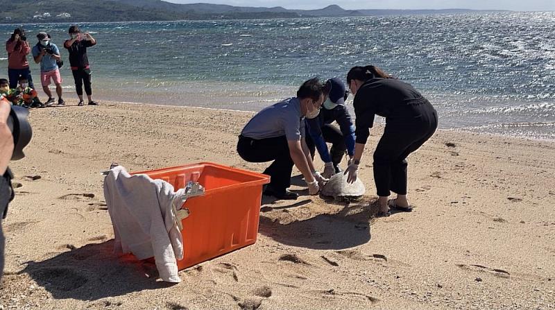 環境保育行動刻不容緩  眾人攜手為救傷海龜祝福