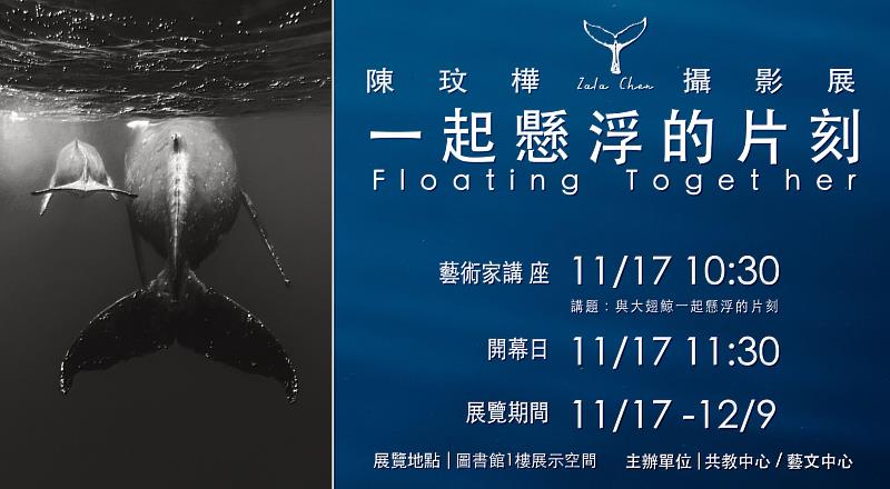 展期11月17日至12月9日歡迎一同欣賞精湛的海洋生態攝影作品