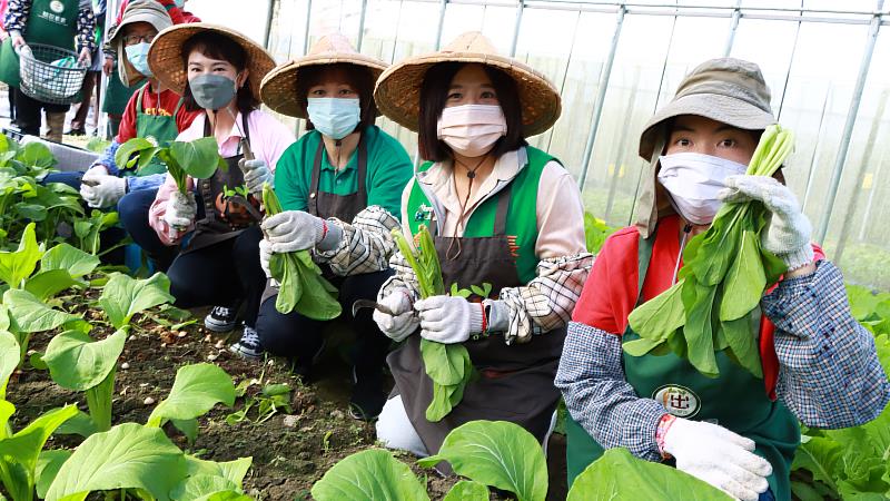 張榮發基金會、長榮海運、長榮桂冠酒店由拙茁家園院生帶領體驗採菜