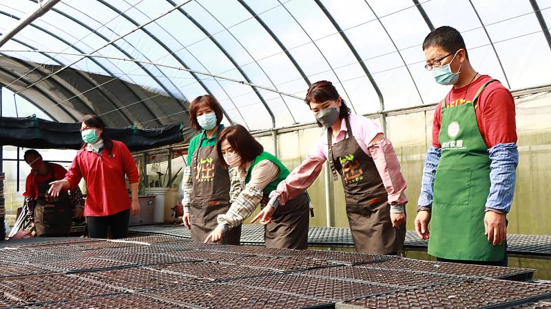 拙茁家園院生示範育苗步驟