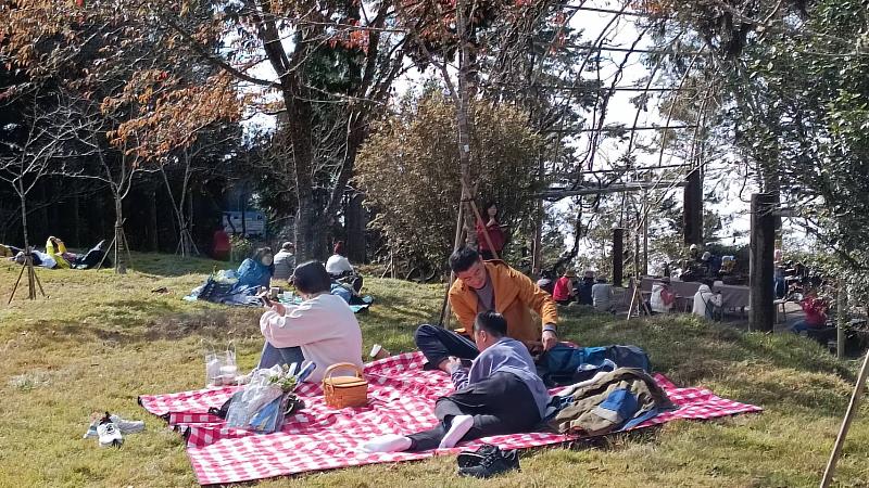 民眾於小笠原觀景平台欣賞完日出及楓紅後，一同至阿里山植物園草地上悠閒野餐