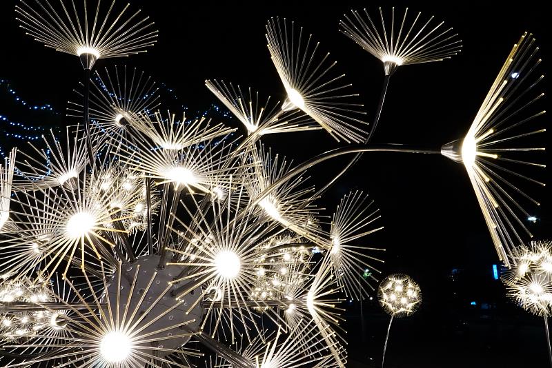 Light Up Taitung！三處浪漫燈景點亮慢城溫暖意象 歡迎民眾拍出浪漫臺東