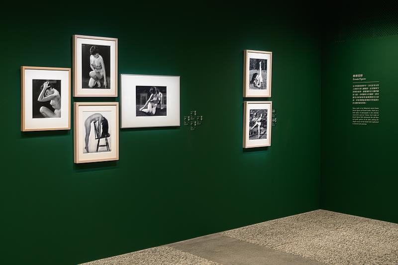 李鳴鵰1950年代的女性攝影，將身體的柔軟線條與溫潤體態充分展現。