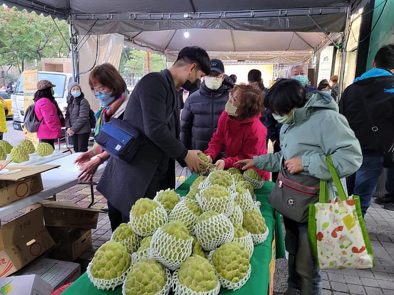 即日起至1月13日，可在板橋農會購買台東太麻里優質釋迦