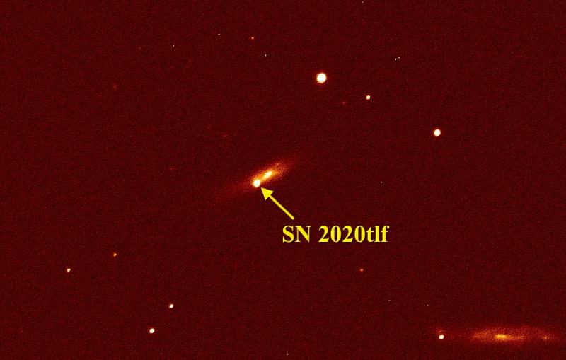鹿林一米望遠鏡於所拍攝的影像，圖中黃色箭頭所標示的星體即為SN 2020tlf，所在星系為NGC 5731。照片天文所提供