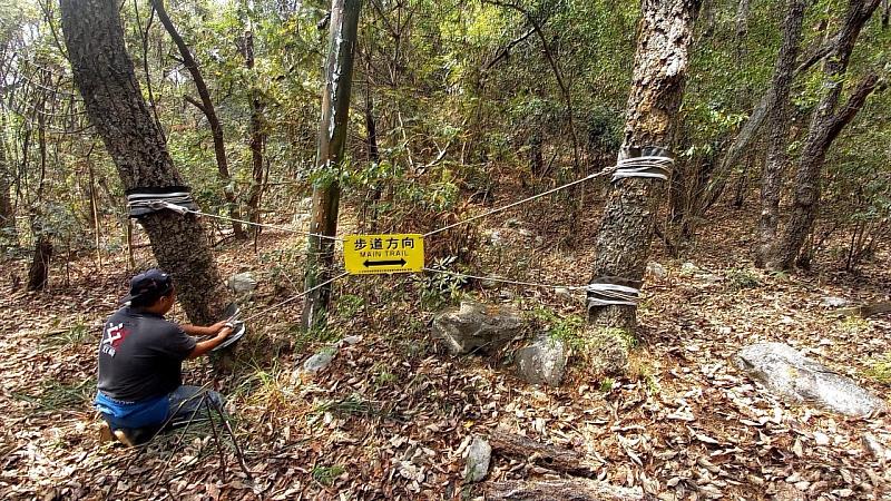 東勢林區管理處在各步道岔路、路徑不清楚處 以橡膠皮保護樹木設置反光pc板步道方向指示牌，以利登山客判別路線