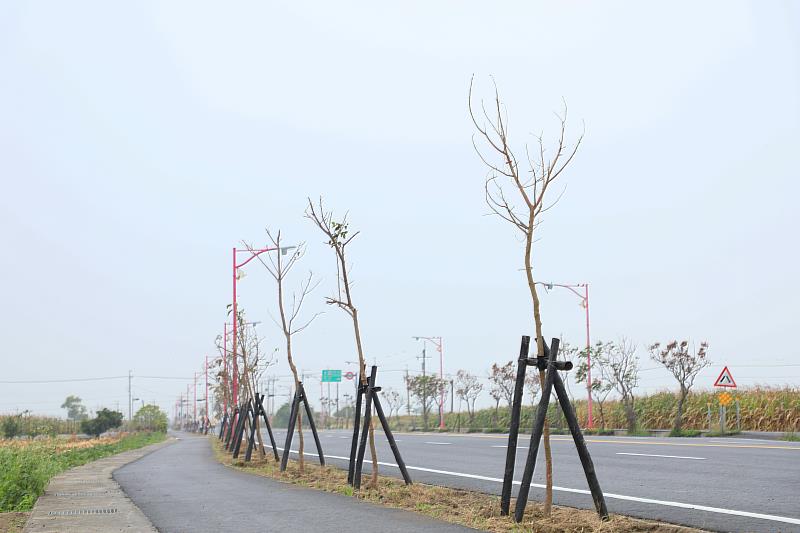 翁縣長視察嘉義縣義竹鄉縣道163線道路改善工程