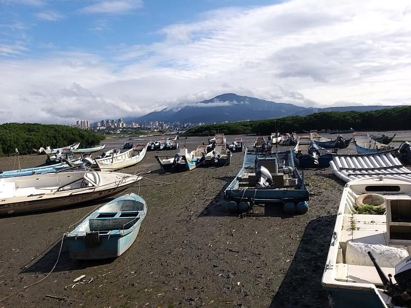 沼澤地，可遠眺對岸淡水風光