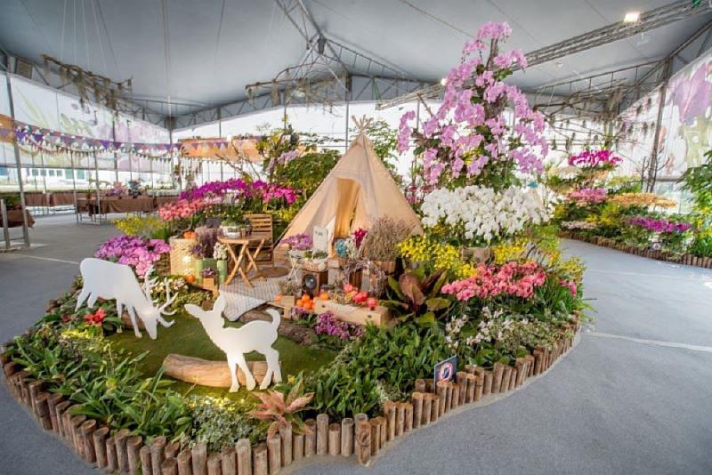 春遊屏東熱博浪漫花海好吸睛