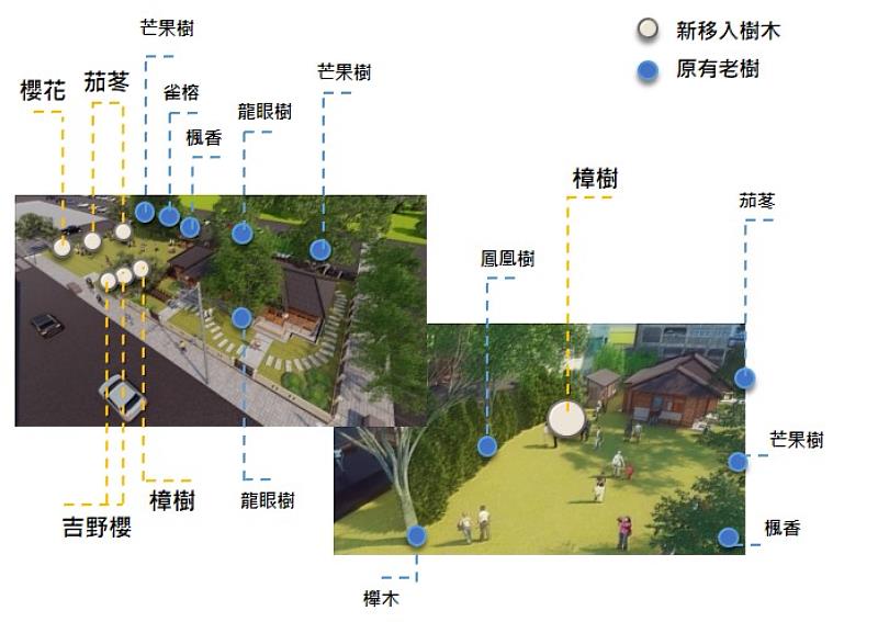 下竹町周圍樹木(原有老樹與新移入樹種)