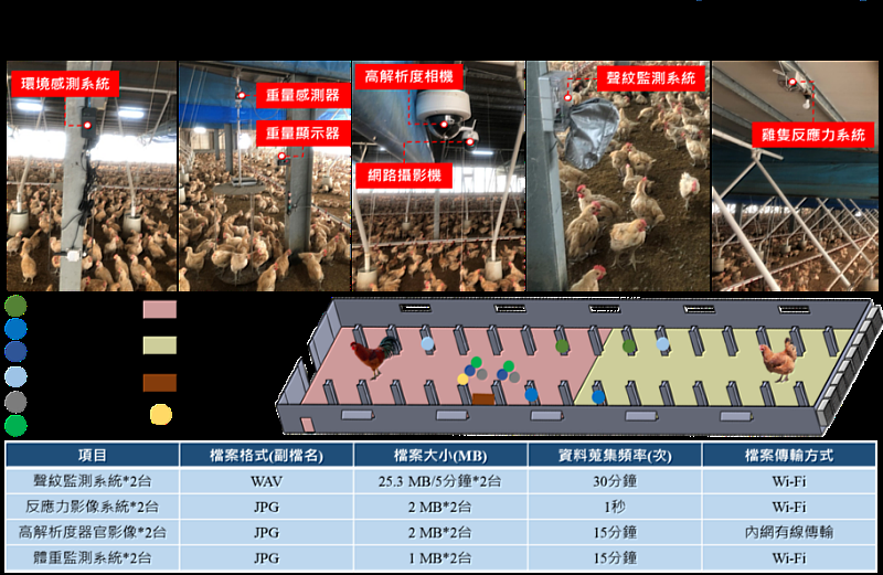 圖1、建立肉雞物聯網感測系統架構