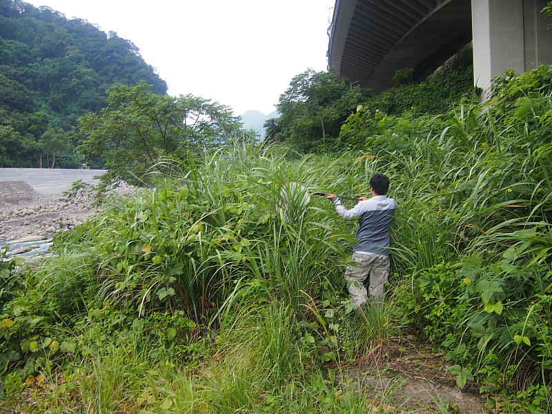 研究團隊在野外調查以掃網採集濱溪陸域的昆蟲