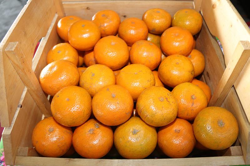 茂谷柑營養價值高  地產地消最是鮮美