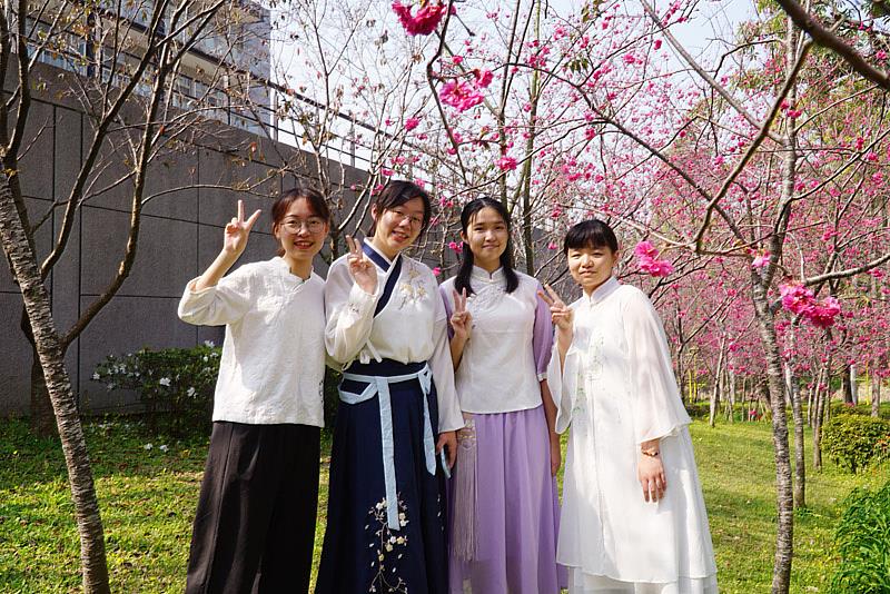 大葉大學學生在櫻花樹下開心合影