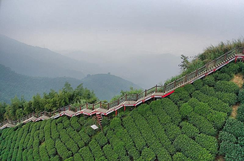 嘉義梅山最美十景 超美茶園、竹林、瀑布這裡賞這裡拍