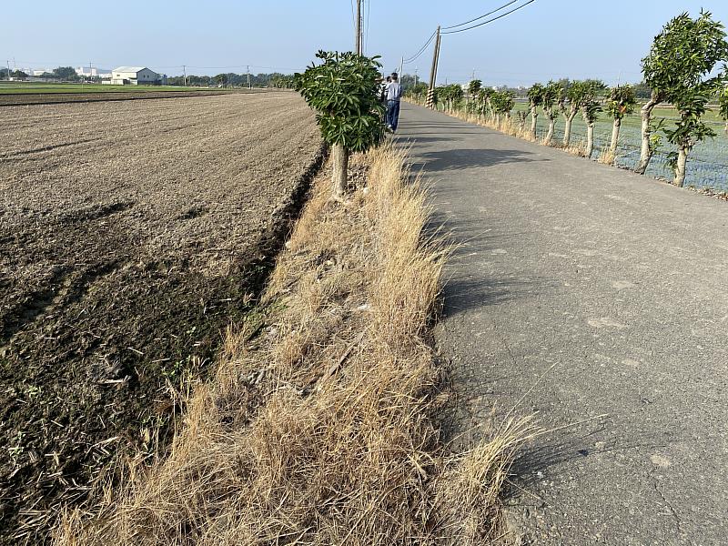 太保嘉64線埤麻腳至管事厝拓寬工程獲公路總局核定