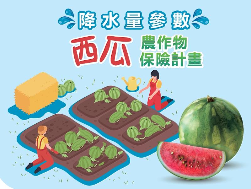 111年西瓜保險銷售至111年6月30日 籲請農民踴躍投保