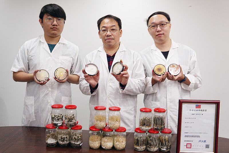 大葉大學食生系吳建一老師帶領學生研究蟬花