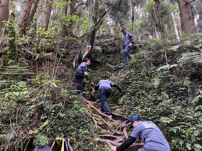 阿里山浪犬騷帝雉，動保員全面捕抓移除