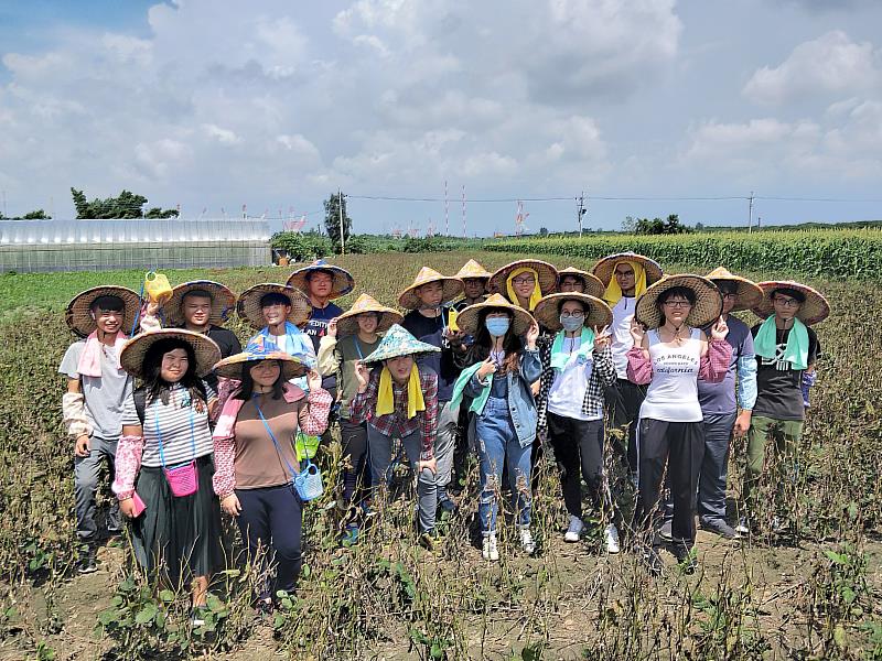 朝陽USR團隊深入社區，協助農民採收黑豆，善盡大學社會責任。