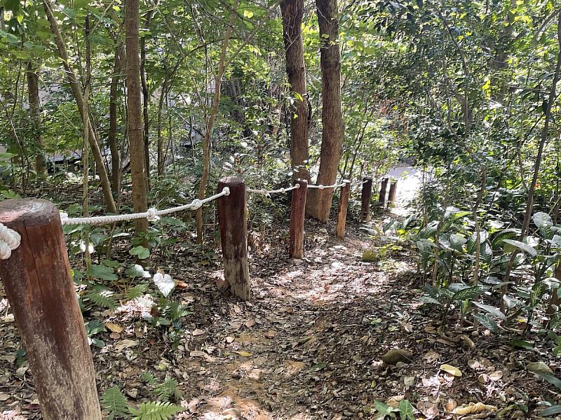 登山樁提供「輕爬山」的運動休閒服務