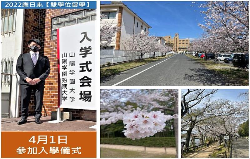 圖/中華大學應日系大三生林家齊，3月底才出發到日本留學，不但趕上開學，還看到許多櫻花，讓他相當開心與感動。