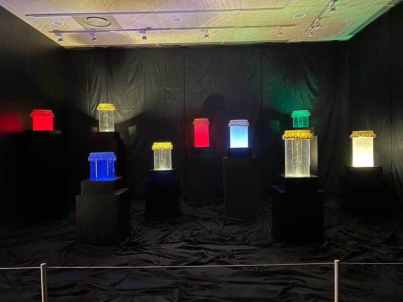 「聲光鼓舞」展區以「工藝x聲音x光源」三位一體的日光藝術裝置，豐富民眾感官體驗